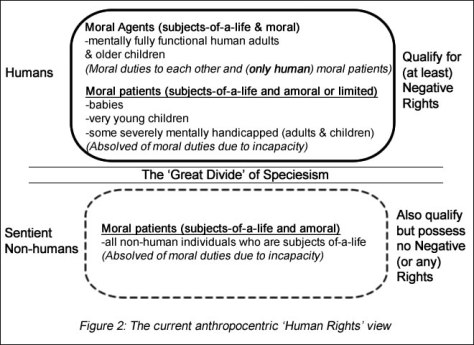 Anthropocentric Rights View